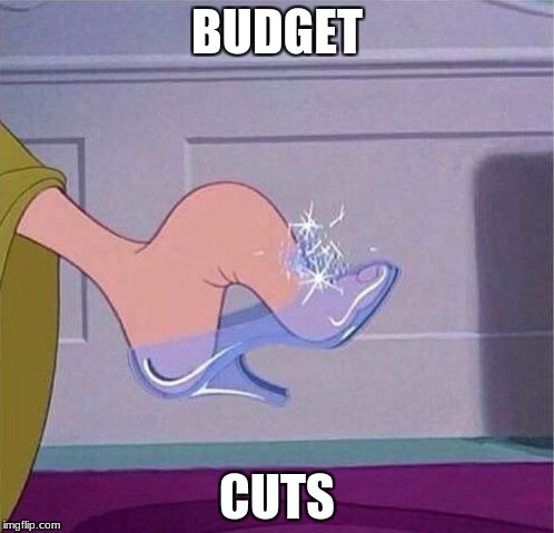 Cinderella shoe |  BUDGET; CUTS | image tagged in cinderella shoe | made w/ Imgflip meme maker