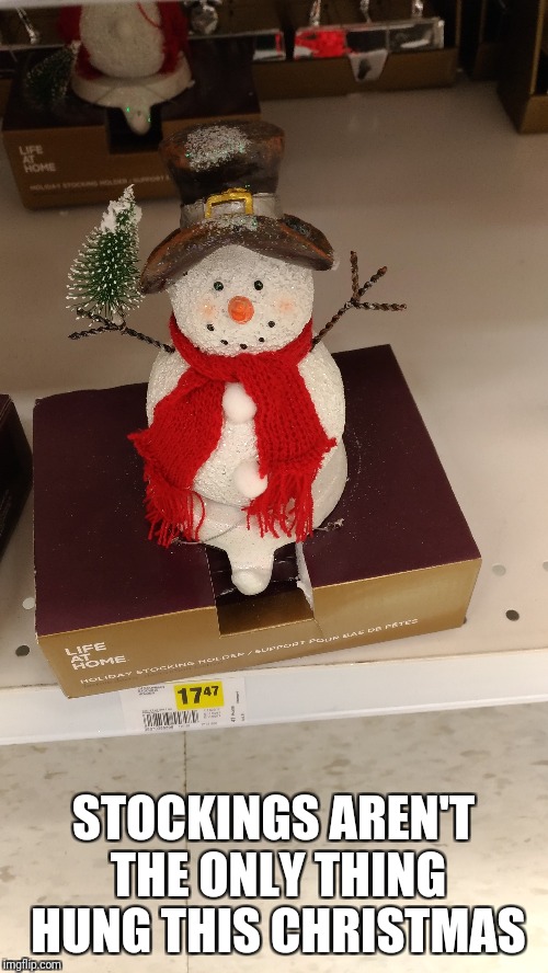 Frisky Frosty | STOCKINGS AREN'T THE ONLY THING HUNG THIS CHRISTMAS | image tagged in christmas memes,funny christmas | made w/ Imgflip meme maker