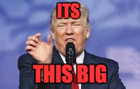ITS; THIS BIG | image tagged in trump | made w/ Imgflip meme maker