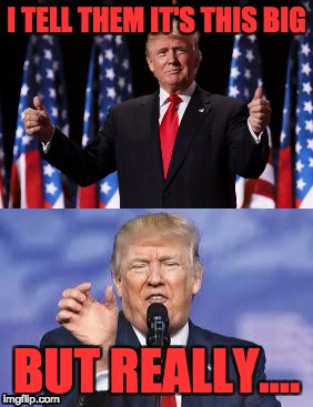 trump | I TELL THEM IT'S THIS BIG; BUT REALLY.... | image tagged in trump | made w/ Imgflip meme maker