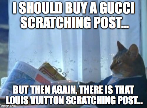 Decisions, decisions... | I SHOULD BUY A GUCCI SCRATCHING POST... BUT THEN AGAIN, THERE IS THAT LOUIS VUITTON SCRATCHING POST... | image tagged in memes,i should buy a boat cat | made w/ Imgflip meme maker