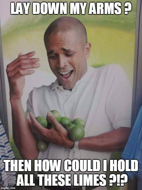 A 2nd Amendment Argument  | LAY DOWN MY ARMS ? THEN HOW COULD I HOLD ALL THESE LIMES ?!? | image tagged in memes,why can't i hold all these limes,arms,nra,2nd amendment | made w/ Imgflip meme maker