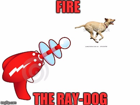 Literal RayDog, because why the heck not. | FIRE; THE RAY-DOG | image tagged in raydog,memes | made w/ Imgflip meme maker