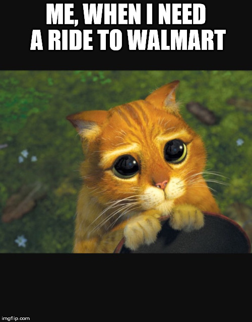 Laundry still in washer | ME, WHEN I NEED A RIDE TO WALMART | image tagged in laundry still in washer | made w/ Imgflip meme maker