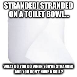 Stranded! | STRANDED! STRANDED ON A TOILET BOWL... WHAT DO YOU DO WHEN YOU'RE STRANDED AND YOU DON'T HAVE A ROLL? | image tagged in funny memes | made w/ Imgflip meme maker