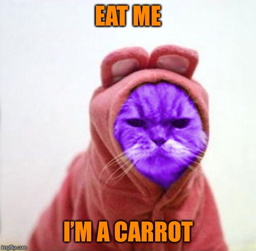 Sullen RayCat | EAT ME I’M A CARROT | image tagged in sullen raycat | made w/ Imgflip meme maker