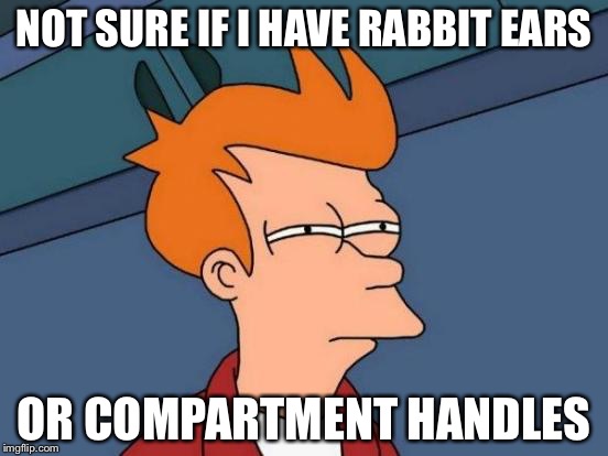 I don’t know | NOT SURE IF I HAVE RABBIT EARS; OR COMPARTMENT HANDLES | image tagged in memes,futurama fry | made w/ Imgflip meme maker