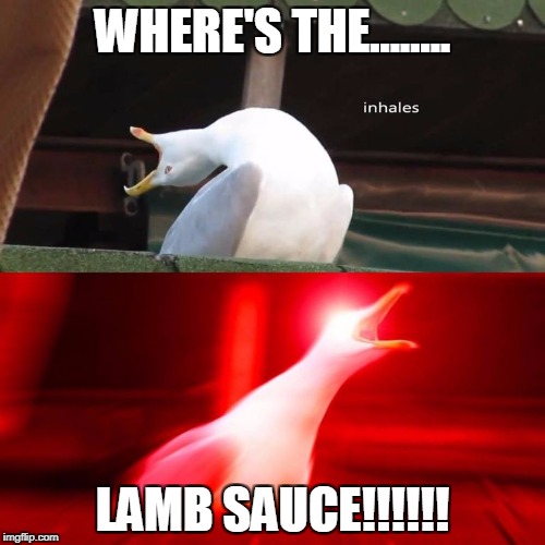 inhaling bird meme | WHERE'S THE........ LAMB SAUCE!!!!!! | image tagged in inhaling bird meme | made w/ Imgflip meme maker