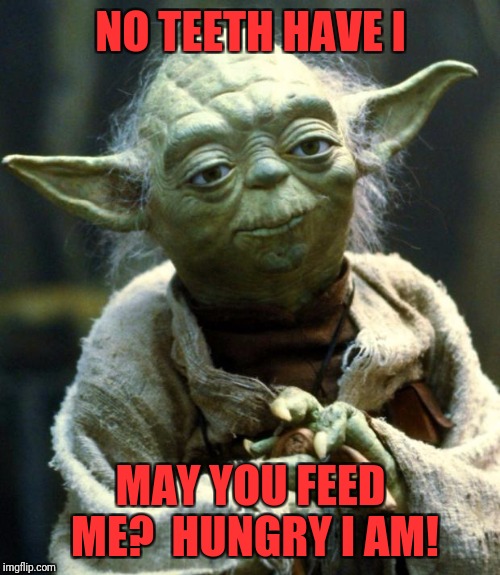 Star Wars Yoda Meme | NO TEETH HAVE I; MAY YOU FEED ME?  HUNGRY I AM! | image tagged in memes,star wars yoda | made w/ Imgflip meme maker