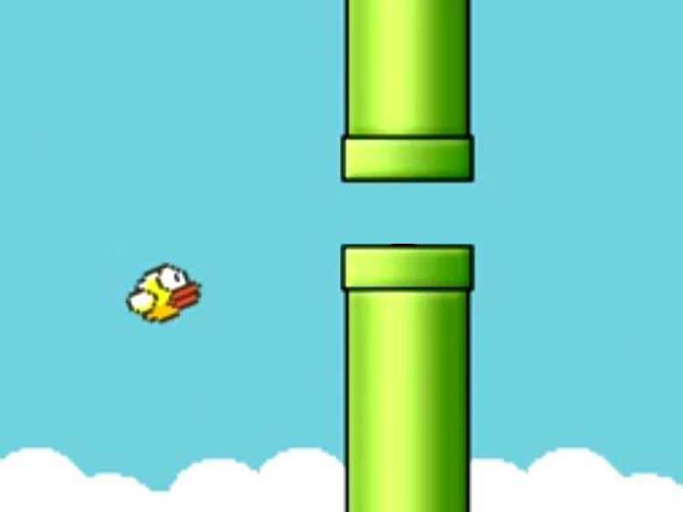 High Quality Fatigued Flappy Bird Blank Meme Template