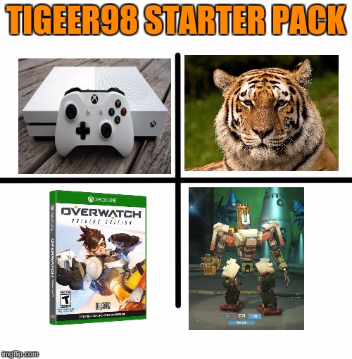 Blank Starter Pack Meme | TIGEER98 STARTER PACK | image tagged in x starter pack | made w/ Imgflip meme maker