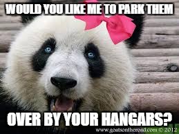 WOULD YOU LIKE ME TO PARK THEM OVER BY YOUR HANGARS? | made w/ Imgflip meme maker