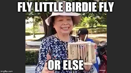 fryday | FLY LITTLE BIRDIE FLY; OR ELSE | image tagged in fryday | made w/ Imgflip meme maker