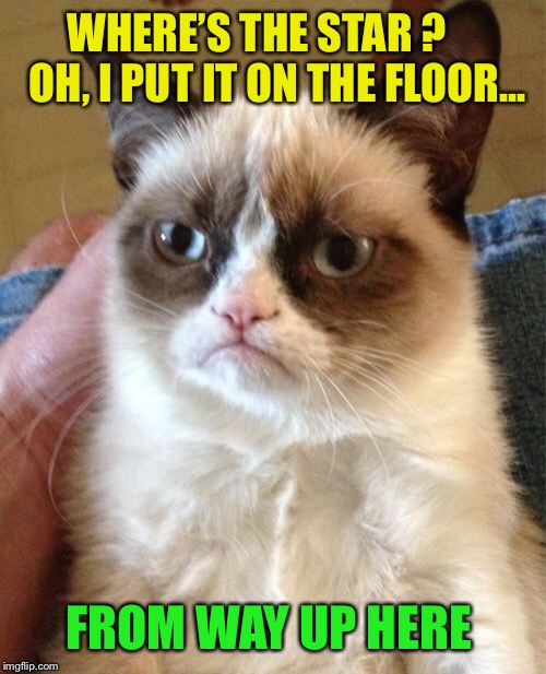 Grumpy Cat Meme | WHERE’S THE STAR ?     OH, I PUT IT ON THE FLOOR... FROM WAY UP HERE | image tagged in memes,grumpy cat | made w/ Imgflip meme maker