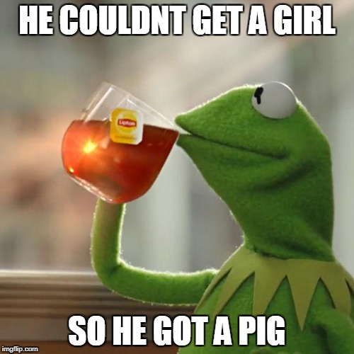 But That's None Of My Business | HE COULDNT GET A GIRL; SO HE GOT A PIG | image tagged in memes,but thats none of my business,kermit the frog | made w/ Imgflip meme maker