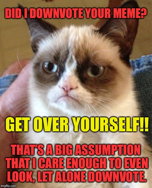 don’t worry, he scrolled past your meme | DID I DOWNVOTE YOUR MEME? GET OVER YOURSELF!! THAT’S A BIG ASSUMPTION THAT I CARE ENOUGH TO EVEN LOOK, LET ALONE DOWNVOTE. | image tagged in grumpy cat,downvote,downvotes,troll,trolls | made w/ Imgflip meme maker