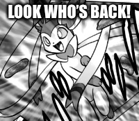  Sylveon tried to be heroic.Fails miserably. | LOOK WHO’S BACK! | image tagged in sylveon,eevee,memes | made w/ Imgflip meme maker