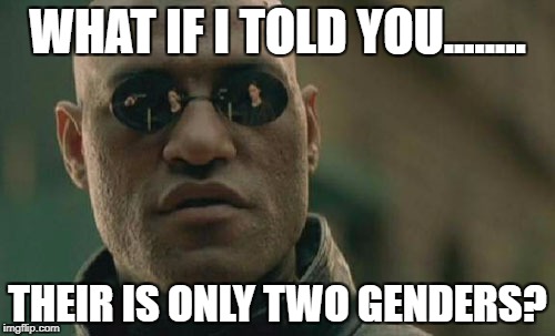 Matrix Morpheus | WHAT IF I TOLD YOU........ THEIR IS ONLY TWO GENDERS? | image tagged in memes,matrix morpheus | made w/ Imgflip meme maker