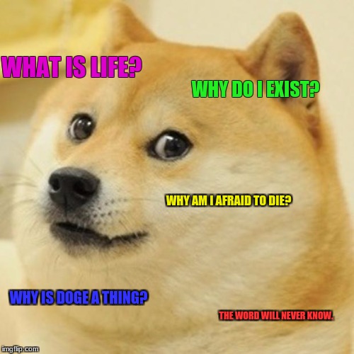 Doge | WHAT IS LIFE? WHY DO I EXIST? WHY AM I AFRAID TO DIE? WHY IS DOGE A THING? THE WORD WILL NEVER KNOW. | image tagged in memes,doge | made w/ Imgflip meme maker