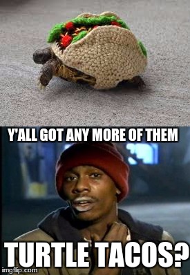Y'all want dem? | Y'ALL GOT ANY MORE OF THEM; TURTLE TACOS? | image tagged in turtle | made w/ Imgflip meme maker