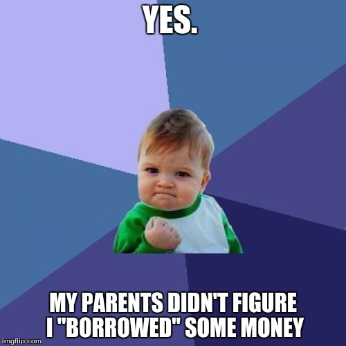 Success Kid Meme | YES. MY PARENTS DIDN'T FIGURE I "BORROWED" SOME MONEY | image tagged in memes,success kid | made w/ Imgflip meme maker