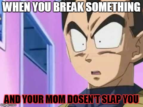 Vegeta | WHEN YOU BREAK SOMETHING; AND YOUR MOM DOSEN'T SLAP YOU | image tagged in vegeta | made w/ Imgflip meme maker