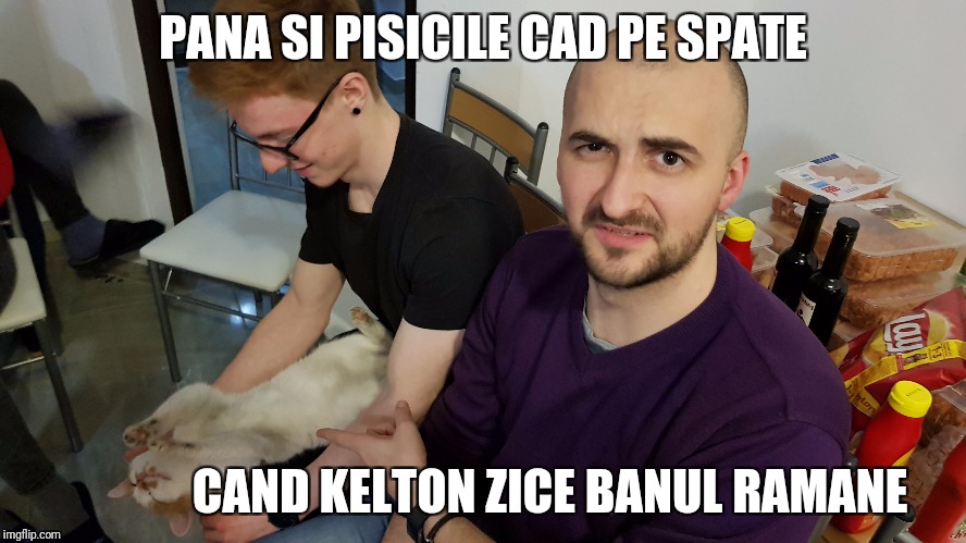 PANA SI PISICILE CAD PE SPATE; CAND KELTON ZICE BANUL RAMANE | made w/ Imgflip meme maker