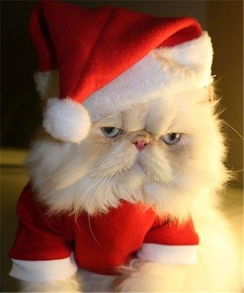 ho ho ho Blank Meme Template