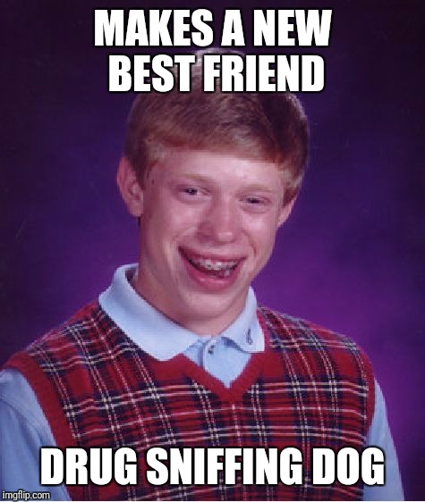 Bad Luck Brian | MAKES A NEW BEST FRIEND; DRUG SNIFFING DOG | image tagged in memes,bad luck brian | made w/ Imgflip meme maker