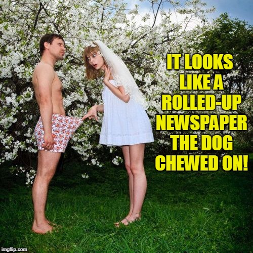 IT LOOKS LIKE A ROLLED-UP NEWSPAPER THE DOG CHEWED ON! | made w/ Imgflip meme maker