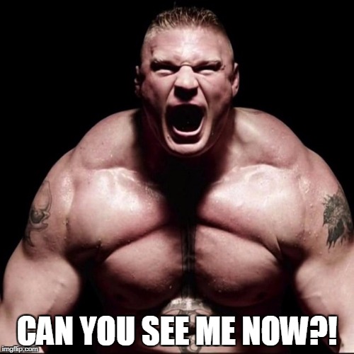 Can you see me now? | CAN YOU SEE
ME NOW?! | image tagged in lesnar,brock,mma | made w/ Imgflip meme maker