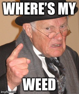 Back In My Day | WHERE’S MY; WEED | image tagged in memes,back in my day | made w/ Imgflip meme maker