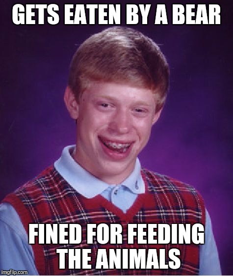 Bad Luck Brian Meme | GETS EATEN BY A BEAR FINED FOR FEEDING THE ANIMALS | image tagged in memes,bad luck brian | made w/ Imgflip meme maker