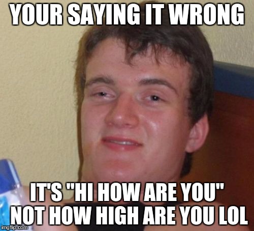 10 Guy Meme | YOUR SAYING IT WRONG; IT'S "HI HOW ARE YOU" NOT HOW HIGH ARE YOU LOL | image tagged in memes,10 guy | made w/ Imgflip meme maker
