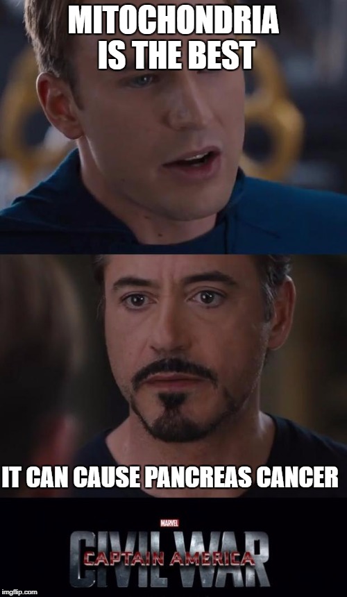 Marvel Civil War Meme | MITOCHONDRIA IS THE BEST; IT CAN CAUSE PANCREAS CANCER | image tagged in memes,marvel civil war | made w/ Imgflip meme maker