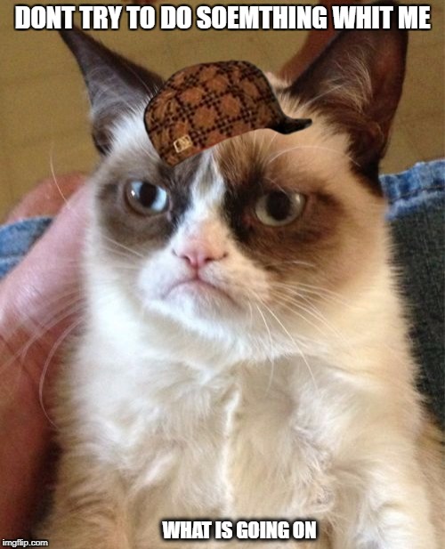 Grumpy Cat Meme | DONT TRY TO DO SOEMTHING WHIT ME; WHAT IS GOING ON | image tagged in memes,grumpy cat,scumbag | made w/ Imgflip meme maker