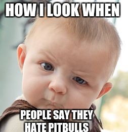 Skeptical Baby | HOW I LOOK WHEN; PEOPLE SAY THEY HATE PITBULLS | image tagged in memes,skeptical baby | made w/ Imgflip meme maker
