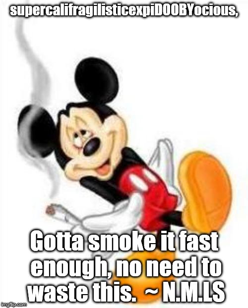 mickey loves weed | supercalifragilisticexpiDOOBYocious, Gotta smoke it fast enough, no need to waste this.  ~ N.M.LS | image tagged in mickey loves weed | made w/ Imgflip meme maker
