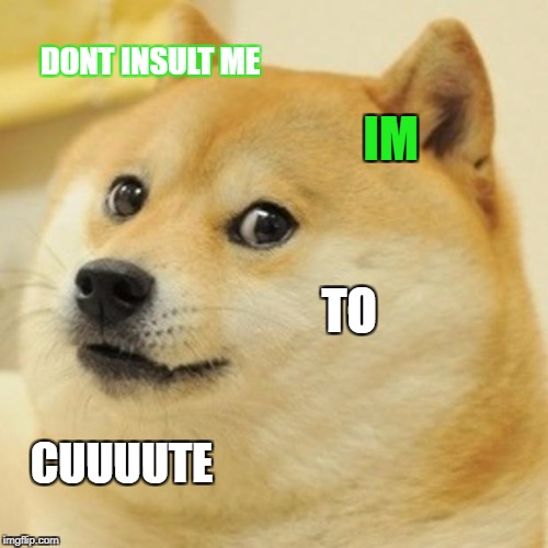 Doge | DONT INSULT ME; IM; TO; CUUUUTE | image tagged in memes,doge | made w/ Imgflip meme maker