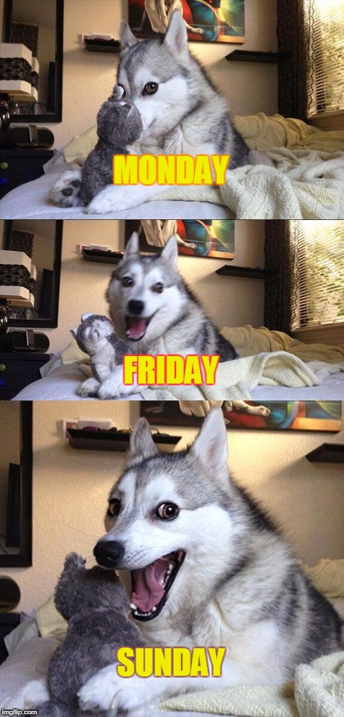 Bad Pun Dog | MONDAY; FRIDAY; SUNDAY | image tagged in memes,bad pun dog | made w/ Imgflip meme maker