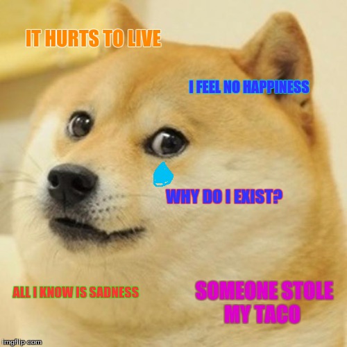 Doge Meme | IT HURTS TO LIVE; I FEEL NO HAPPINESS; WHY DO I EXIST? ALL I KNOW IS SADNESS; SOMEONE STOLE MY TACO | image tagged in memes,doge | made w/ Imgflip meme maker