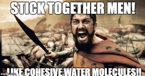 Sparta Leonidas Meme | STICK TOGETHER MEN! LIKE COHESIVE WATER MOLECULES!! | image tagged in memes,sparta leonidas | made w/ Imgflip meme maker