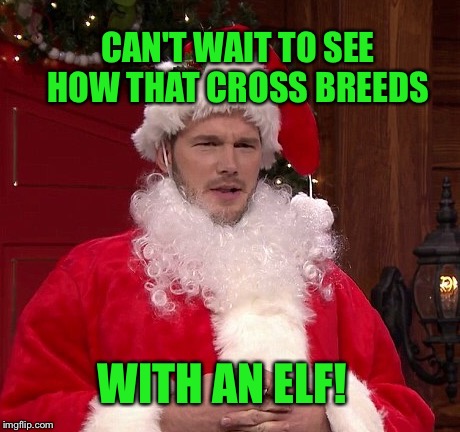 CAN'T WAIT TO SEE HOW THAT CROSS BREEDS WITH AN ELF! | made w/ Imgflip meme maker