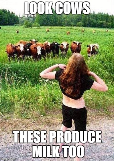 Flashing Cows(?) | LOOK COWS; THESE PRODUCE MILK TOO | image tagged in flashing cows | made w/ Imgflip meme maker