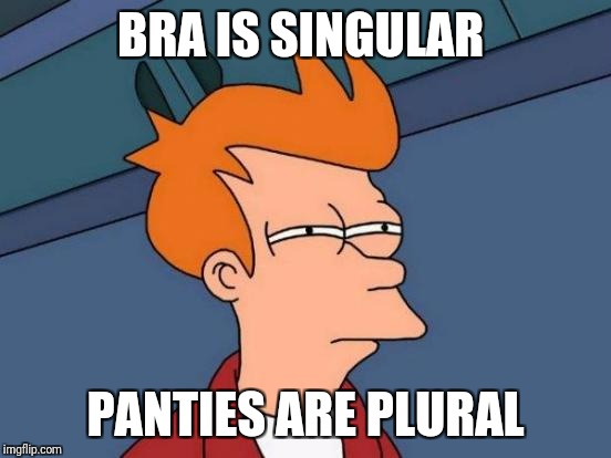 Futurama Fry Meme | BRA IS SINGULAR; PANTIES ARE PLURAL | image tagged in memes,futurama fry | made w/ Imgflip meme maker