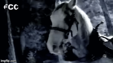 horsefart | image tagged in gifs,funny | made w/ Imgflip video-to-gif maker