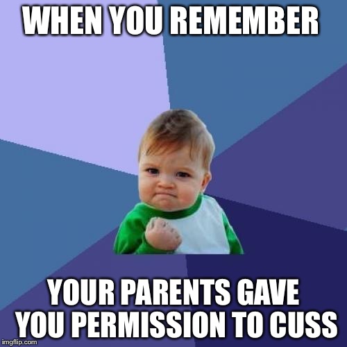 Success Kid Meme | WHEN YOU REMEMBER YOUR PARENTS GAVE YOU PERMISSION TO CUSS | image tagged in memes,success kid | made w/ Imgflip meme maker