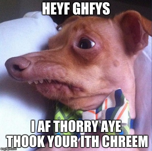 Tuna the dog (Phteven) | HEYF GHFYS; I AF THORRY AYE THOOK YOUR ITH CHREEM | image tagged in tuna the dog phteven | made w/ Imgflip meme maker