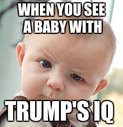 Skeptical Baby Meme | WHEN YOU SEE A BABY WITH; TRUMP'S IQ | image tagged in memes,skeptical baby | made w/ Imgflip meme maker