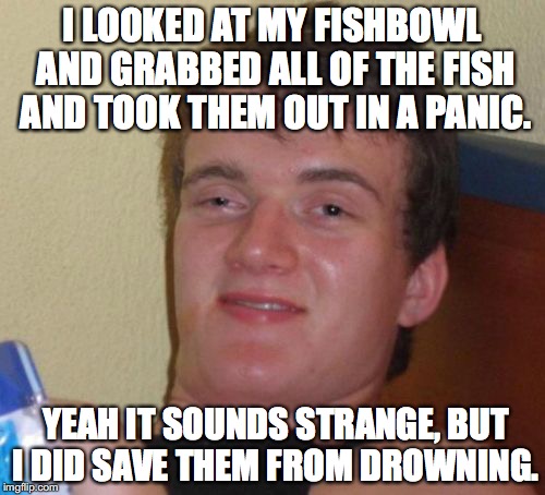 10 Guy Meme | I LOOKED AT MY FISHBOWL AND GRABBED ALL OF THE FISH AND TOOK THEM OUT IN A PANIC. YEAH IT SOUNDS STRANGE, BUT I DID SAVE THEM FROM DROWNING. | image tagged in memes,10 guy | made w/ Imgflip meme maker